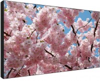 Фото - Монитор Sharp PN-V601 60&nbsp;"  черный