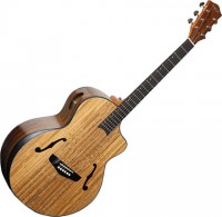 Фото - Гитара Deviser LS-580