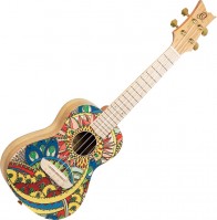 Фото - Гитара Ortega RUAR-MI