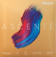 Фото - Струны DAddario Ascente Violin String Set 4/4 Size Medium 