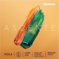 Фото - Струны DAddario Ascente Viola C String Long Scale Medium 