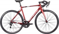 Фото - Велосипед Bottecchia Duello Campagnolo 2022 frame 44 