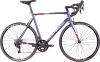 Фото - Велосипед Bottecchia Duello Shimano 2022 frame 44 