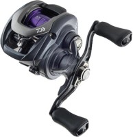 Фото - Катушка Daiwa Prorex PE SV TW 100HSL