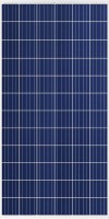Фото - Солнечная панель Trina TSM-PC14(II) 325W 325 Вт