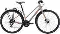 Фото - Велосипед Giant Liv Alight 2 City Disc 2023 frame XL