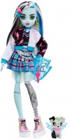 Фото - Кукла Monster High Frankie Stein Watzie HHK53 