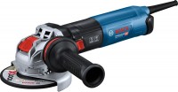 Фото - Шлифовальная машина Bosch GWX 17-125 S Professional 06017D2300 