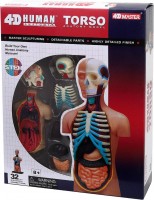 Фото - 3D пазл 4D Master Torso 626003