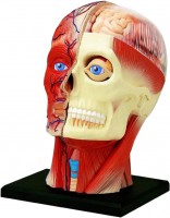 Фото - 3D пазл 4D Master Head 626103
