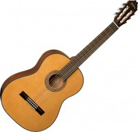 Фото - Гитара Washburn C40 