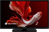 Фото - Телевизор Gogen TVH 24P352T 24 "