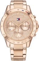 Фото - Наручные часы Tommy Hilfiger Haven 1782197 