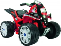 Фото - Детский электромобиль INJUSA Quad The Beast 12V 