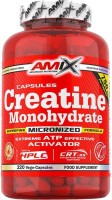 Фото - Креатин Amix Creatine Monohydrate 750 mg 220 шт