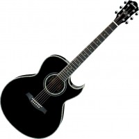 Фото - Гитара Ibanez JSA10