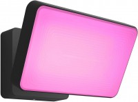 Фото - Прожектор / светильник Philips Discover 915005731501