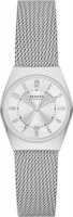 Фото - Наручные часы Skagen Grenen Lille SKW3038 