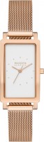 Фото - Наручные часы Skagen Hagen SKW3095 