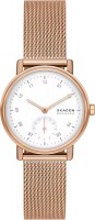 Фото - Наручные часы Skagen Kuppel Lille SKW3099 