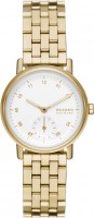 Фото - Наручные часы Skagen Kuppel Lille SKW3102 