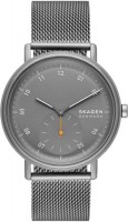 Фото - Наручные часы Skagen Kuppel SKW6891 