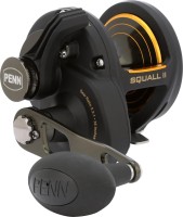 Фото - Катушка PENN Squall II 20NLD 