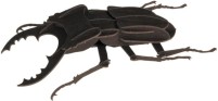 Фото - 3D пазл Fridolin Stag Beetle 11606 