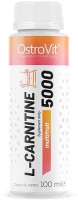 Фото - Сжигатель жира OstroVit L-Carnitine 5000 100 ml 100 мл