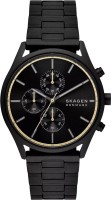 Фото - Наручные часы Skagen Holst SKW6910 