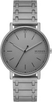 Фото - Наручные часы Skagen Signatur SKW6913 