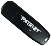 Фото - USB-флешка Patriot Memory Xporter Core 256Gb 