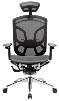 Фото - Компьютерное кресло GT Chair Dvary X 