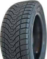 Фото - Шины Tercelo Blue Snow 205/55 R16 91V 