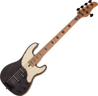 Фото - Гитара Schecter Model-T 5 Exotic Ziricote 