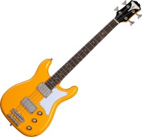 Фото - Гитара Epiphone Newport Bass 