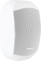 Фото - Акустическая система BIAMP Desono MASK6C