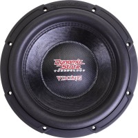 Фото - Автосабвуфер Dynamic State VIKING VSW-252
