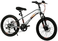 Фото - Детский велосипед Corso F35 20