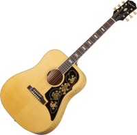 Фото - Гитара Epiphone Frontier (USA Collection)