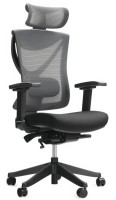 Фото - Компьютерное кресло ADAPWORK S1 Senior ErgoChair