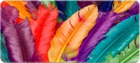 Фото - Коврик для мышки Voltronic Power Bird Feathers