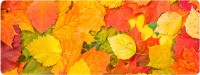 Фото - Коврик для мышки Voltronic Power Autumn Leaves