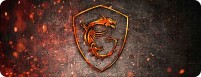 Фото - Коврик для мышки Voltronic Power MSI - Fire Dragon