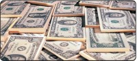 Фото - Коврик для мышки Voltronic Power Dollars (UD04)