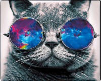 Фото - Коврик для мышки Voltronic Power Cat with Glasses