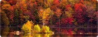 Фото - Коврик для мышки Voltronic Autumn Forest