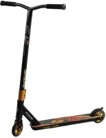 Фото - Самокат Best Scooter C-40313