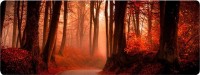 Фото - Коврик для мышки Voltronic Power Red Forest