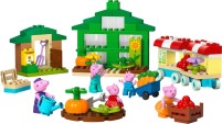 Фото - Конструктор Lego Grandpa Pigs Garden and Greenhouse 10461
